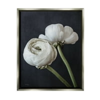 Stupell Industries modern Ranunculus flori floare aranjament petale albe fotografie luciu Gri plutitoare înrămate panza imprimare