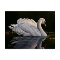 Marcă comercială Artă Plastică 'Reflection Mute Swan' artă pe pânză de Wilhelm Goebel