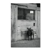 Marcă comercială Fine Art 'Goat Guarding Horse Stall' Canvas Art de Thom Sivo