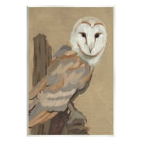 Stupell Industries Barn Owl Bird cocoțat privind fauna sălbatică pictură cu animale pictură Neîncadrată artă imprimată artă de