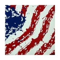 Marcă comercială Fine Art 'American Flag Splash' Canvas Art de Roderick Stevens