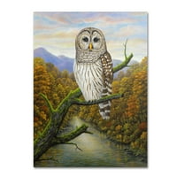 Marcă comercială Fine Art 'Barred Owl' Canvas Art de Robert Wavra