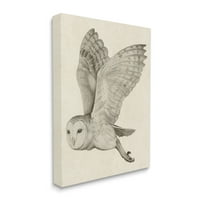 Stupell Industries Flying Barn Owl Wings detaliate monocrom desen panza arta de perete, 48, Design de Grace Popp
