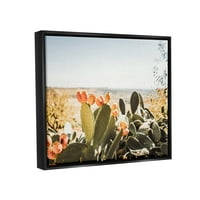 Stupell Sunlit Prickly Pere Cactus Fotografie Peisaj Fotografie Negru Floater Încadrată Arta Imprimare Perete Arta
