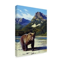 Marcă comercială Fine Art 'Bear Presence' Canvas Art de Julie T. Chapman