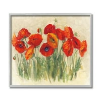 Stupell Industries Flori de mac roșu verde moale iarbă de pajiște Gri încadrat, 20, Design de Carol Rowan