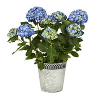 Case și Grădini mai bune 1,25 G Florărie albastră hortensie plantă vie cu ghiveci decorativ