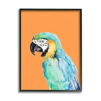 Stupell Industries Tropical Macaw Parrot portret Bold Rainforest Bird Graphic Art Black Framed Art Print Wall Art, Design de Patricia